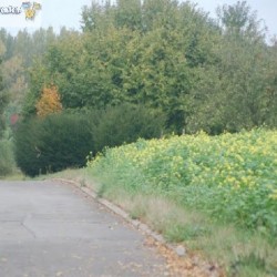 dsc 0503 - Sportraad Zaventem 